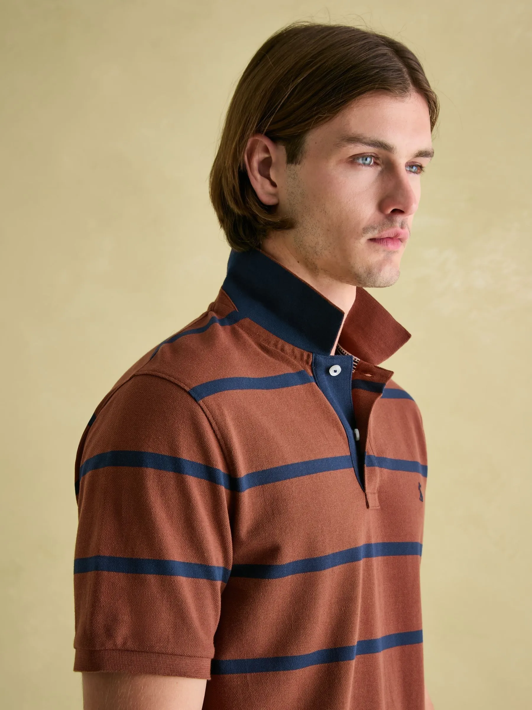 Brown & Navy Striped Polo Shirt