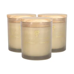 Home Fragrance | Soy Wax Scented Candles 130g Green Pomelo & Passion Fruit Pack of 3 | Nicola Spring