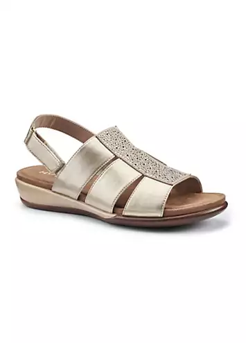 Madrid Gold Women’s Sandals by Hotter | Look Again