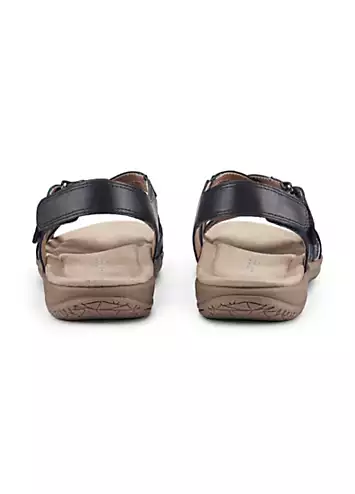 Maple Navy Pewter Multi Women’s Sandals by Hotter | Look Again