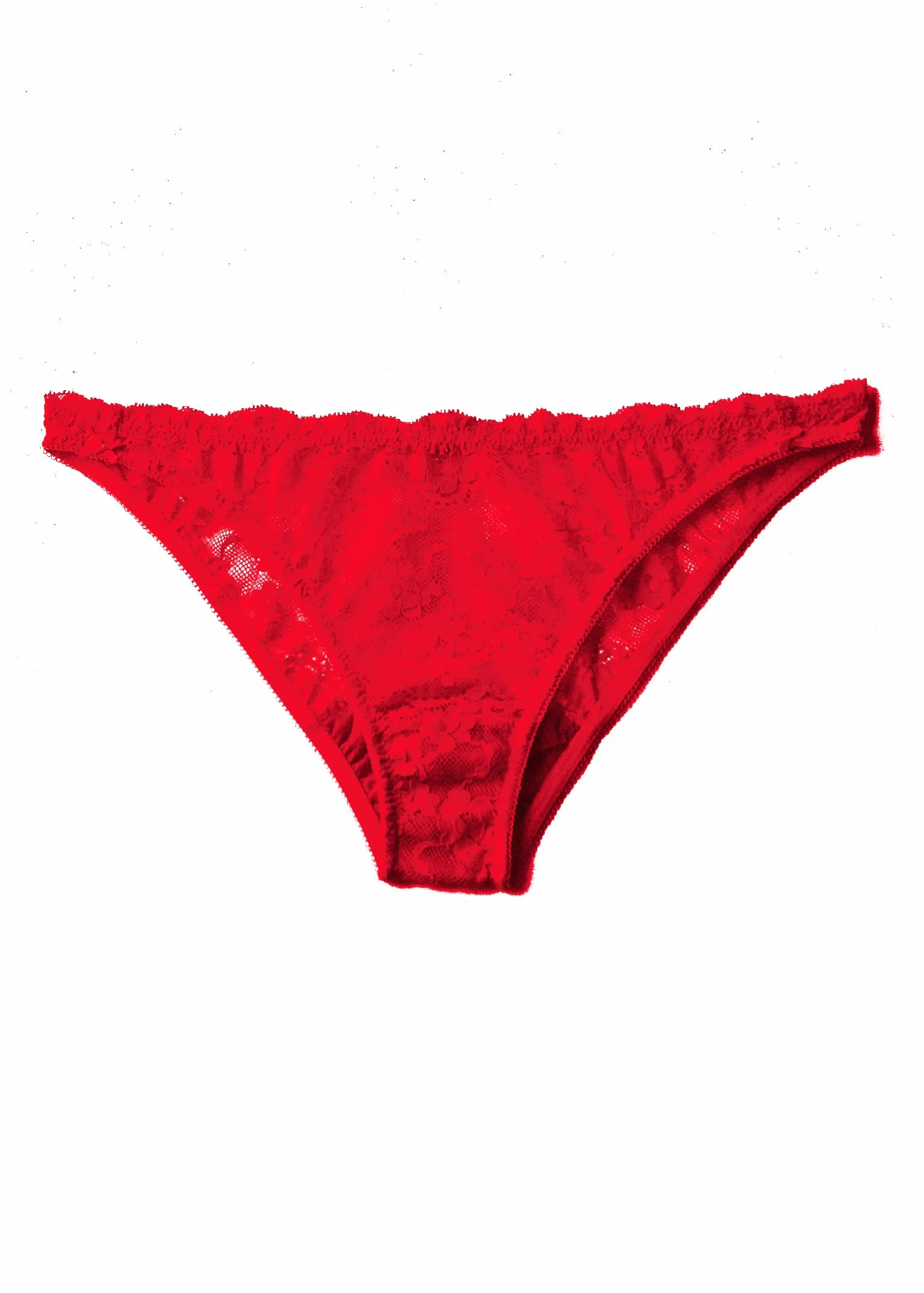 Poppy Flowers Bikini Briefs in Cherry Red