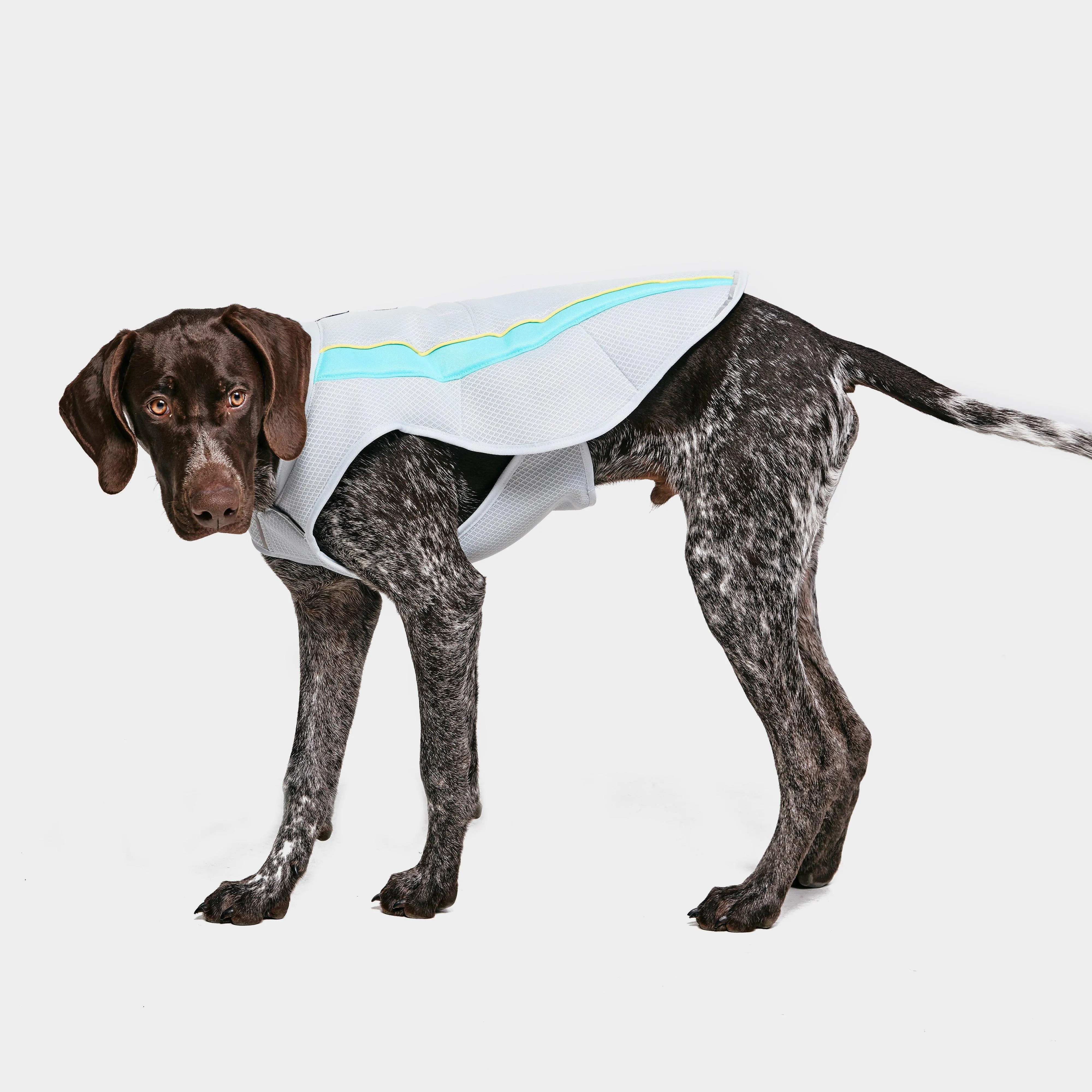 Ruffwear Swamp CoolerTM Vest | Millets