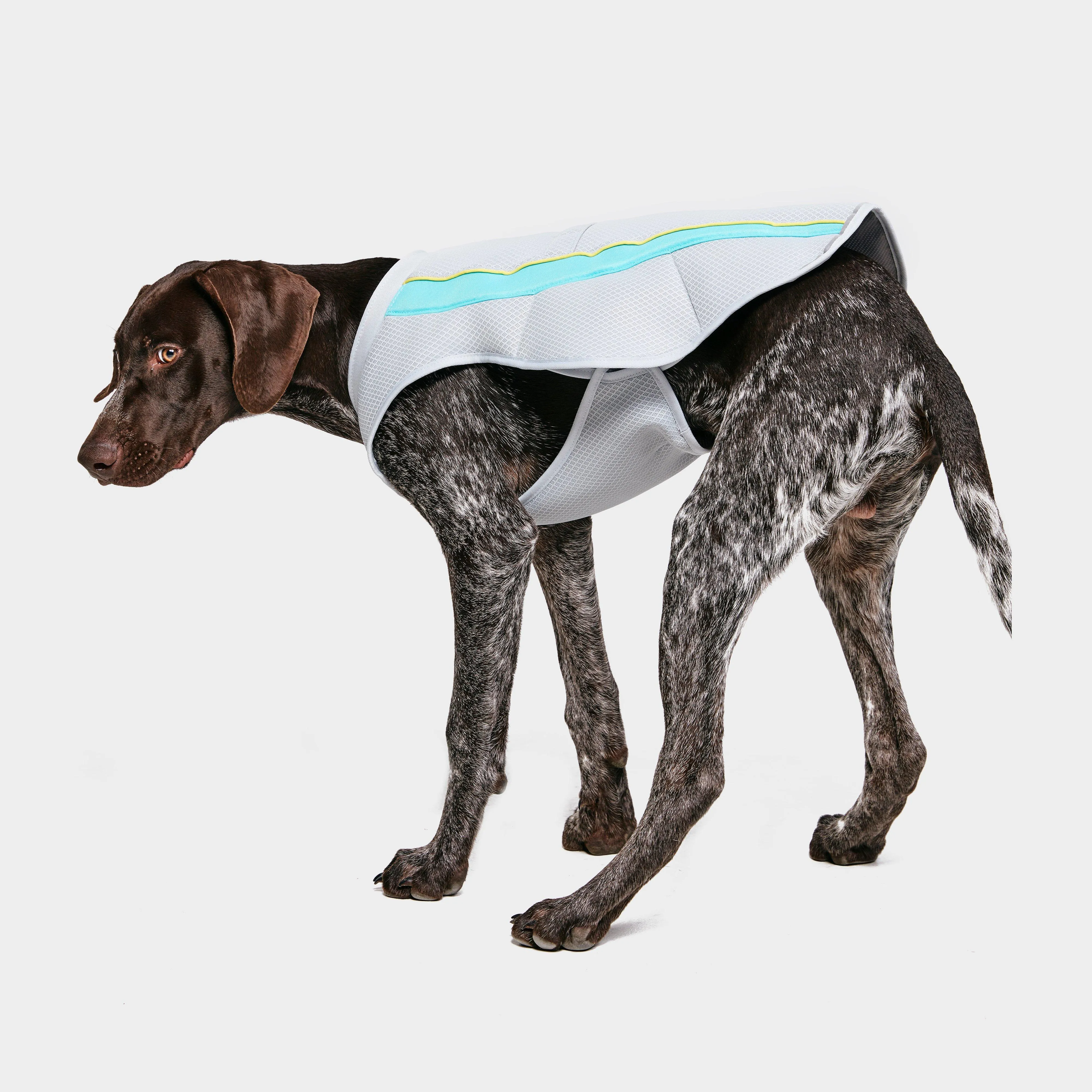 Ruffwear Swamp CoolerTM Vest | Millets