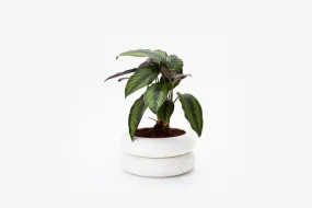 Short White Stacking Planter